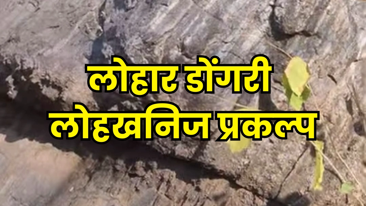ब्रह्मपुरीचा वाघ संकटात? 'लोहार डोंगरी' खाणीमुळे १८ हजार झाडांवर चालणार कुऱ्हाड; पाहा काय आहे सत्य