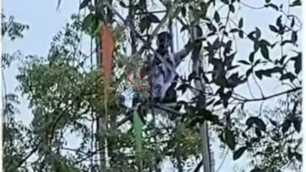 चंद्रपूर बंगाली कॅम्प चौकात ट्रक अपघातात महिलेचा मृत्यू, Chandrapur Accident Today Chandrapur Accident Today: बंगाली कॅम्प चौकात ट्रकच्या धडकेत महिलेचा मृत्यू